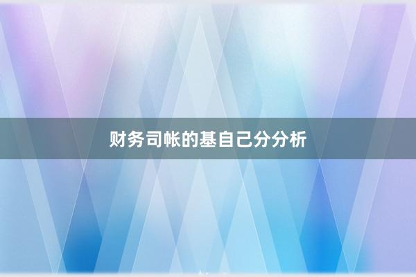 财务司帐的基自己分分析