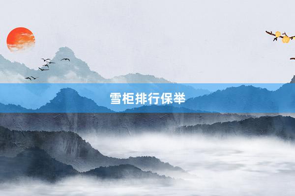 雪柜排行保举