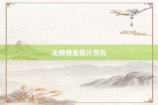 无鳞鲤鱼图片赏玩